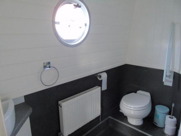 Toilet with wheelchair access